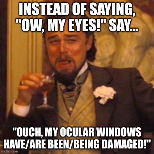 Ocular Windows > Eyes | INSTEAD OF SAYING, "OW, MY EYES!" SAY... "OUCH, MY OCULAR WINDOWS HAVE/ARE BEEN/BEING DAMAGED!" | image tagged in memes,laughing leo | made w/ Imgflip meme maker