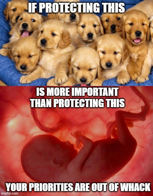 All Life is Precious | IF PROTECTING THIS; IS MORE IMPORTANT THAN PROTECTING THIS; YOUR PRIORITIES ARE OUT OF WHACK | image tagged in puppies,fetus | made w/ Imgflip meme maker
