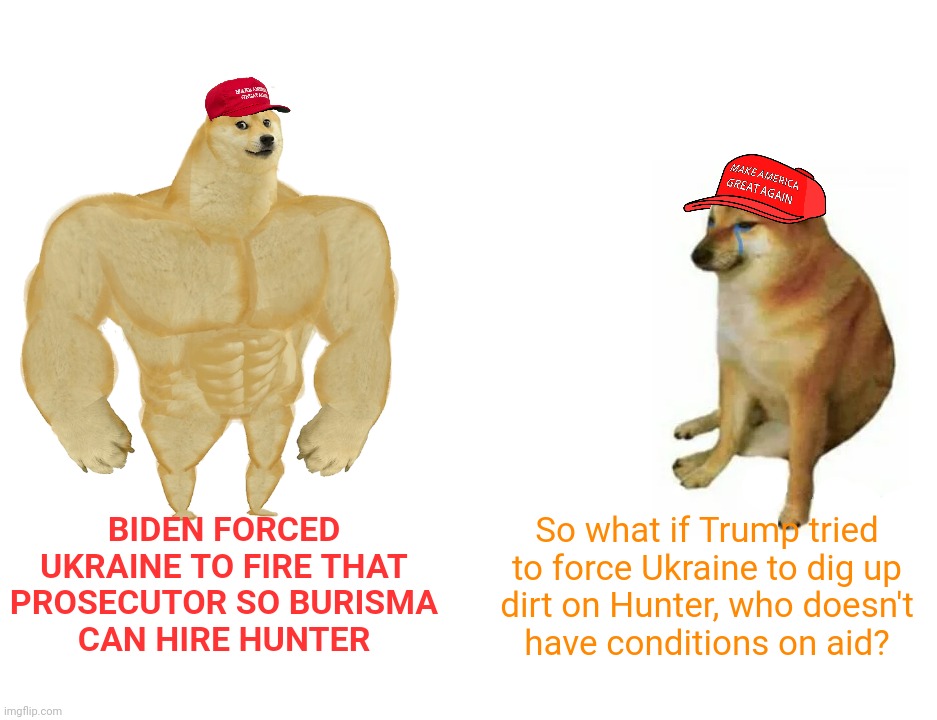Double standards provide double excuses to double the rancorous screeching,,, | BIDEN FORCED UKRAINE TO FIRE THAT PROSECUTOR SO BURISMA
CAN HIRE HUNTER; So what if Trump tried to force Ukraine to dig up
dirt on Hunter, who doesn't
have conditions on aid? | image tagged in memes,buff doge vs cheems,hunter biden,joe biden,donald trump,ukraine | made w/ Imgflip meme maker