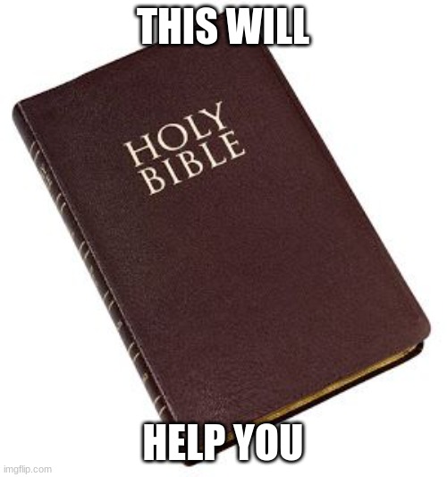 Holy Bible | THIS WILL HELP YOU | image tagged in holy bible | made w/ Imgflip meme maker