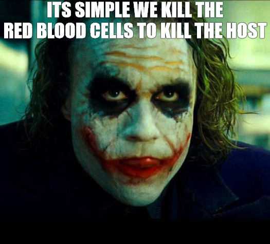 real quick | ITS SIMPLE WE KILL THE RED BLOOD CELLS TO KILL THE HOST | image tagged in joker it's simple we kill the batman | made w/ Imgflip meme maker