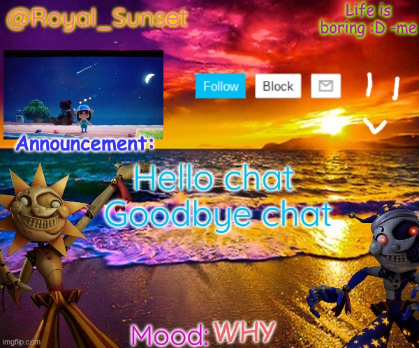 I got testing again D: | Hello chat 
Goodbye chat; WHY | image tagged in royal_sunset's announcement temp sunrise_royal,be back soon,hi,bye | made w/ Imgflip meme maker