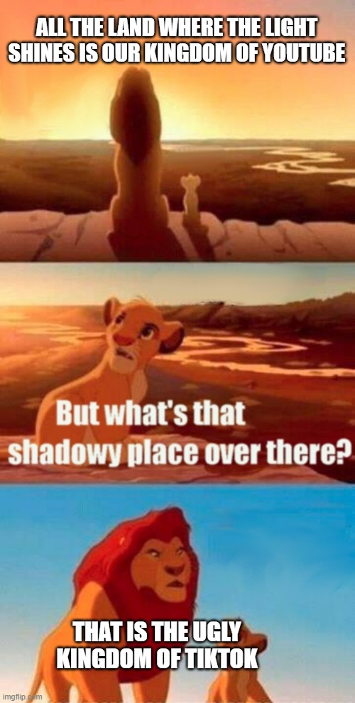 Simba Shadowy Place | ALL THE LAND WHERE THE LIGHT SHINES IS OUR KINGDOM OF YOUTUBE; THAT IS THE UGLY KINGDOM OF TIKTOK | image tagged in memes,simba shadowy place,tiktok sucks,youtube | made w/ Imgflip meme maker