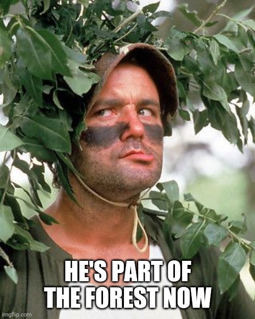 Bill Murray camouflaged | HE'S PART OF THE FOREST NOW | image tagged in bill murray camouflaged | made w/ Imgflip meme maker