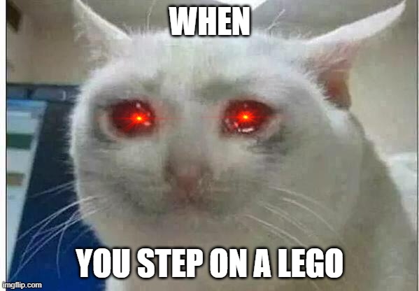 crying cat |  WHEN; YOU STEP ON A LEGO | image tagged in crying cat | made w/ Imgflip meme maker