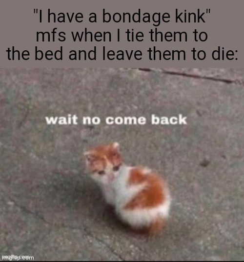 . | "I have a bondage kink" mfs when I tie them to the bed and leave them to die: | image tagged in wait no come back | made w/ Imgflip meme maker