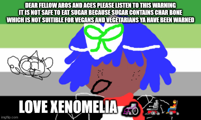 AROMANTIC MEMES | DEAR FELLOW AROS AND ACES PLEASE LISTEN TO THIS WARNING IT IS NOT SAFE TO EAT SUGAR BECAUSE SUGAR CONTAINS CHAR BONE WHICH IS NOT SUITIBLE FOR VEGANS AND VEGETARIANS YA HAVE BEEN WARNED; LOVE XENOMELIA 🦽🦼👨‍🦼 | image tagged in lgbtq stream account profile | made w/ Imgflip meme maker