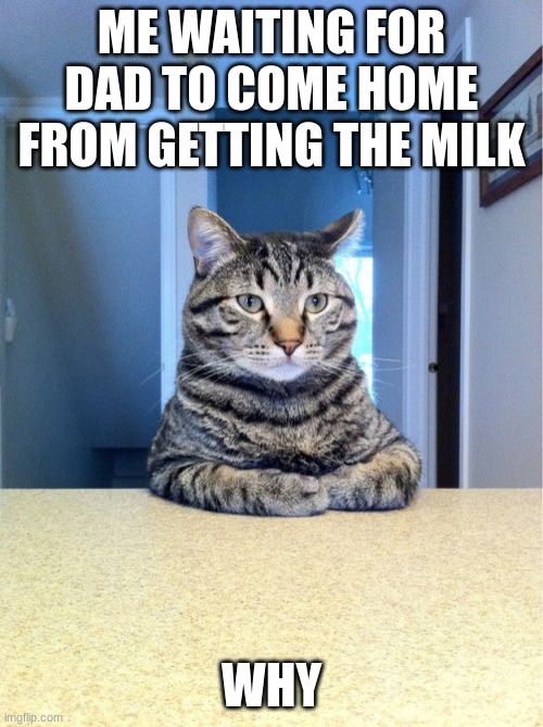 please come back |  ME WAITING FOR DAD TO COME HOME FROM GETTING THE MILK; WHY | image tagged in memes,take a seat cat | made w/ Imgflip meme maker