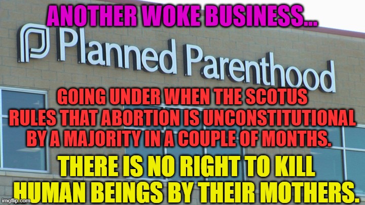 planned abortionhood | ANOTHER WOKE BUSINESS... GOING UNDER WHEN THE SCOTUS RULES THAT ABORTION IS UNCONSTITUTIONAL BY A MAJORITY IN A COUPLE OF MONTHS. THERE IS NO RIGHT TO KILL HUMAN BEINGS BY THEIR MOTHERS. | image tagged in planned abortionhood | made w/ Imgflip meme maker