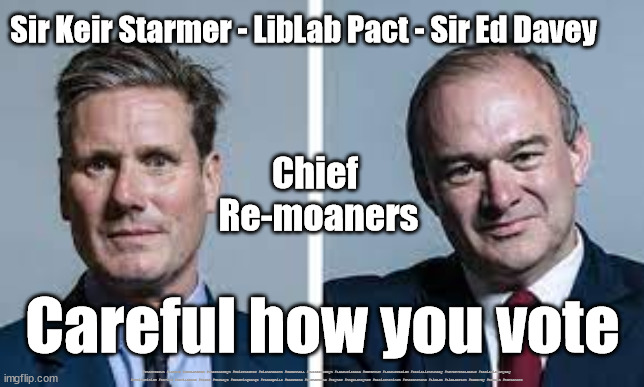 Starmer - Davey - LibLab Pact | Sir Keir Starmer - LibLab Pact - Sir Ed Davey; Chief 
Re-moaners; Careful how you vote; #Starmerout #Labour #JonLansman #wearecorbyn #KeirStarmer #DianeAbbott #McDonnell #cultofcorbyn #labourisdead #Momentum #labourracism #socialistsunday #nevervotelabour #socialistanyday #Antisemitism #Savile #SavileGate #Paedo #Worboys #GroomingGangs #Paedophile #BeerGate #DurhamGate #Rayner #AngelaRayner #BasicInstinct #SharonStone #LibLab #LibLabPact #EdDavey #Brexit #Remoaners | image tagged in starmer davey,brexit re moaners,lib lab pact,local elections,starmerout,labourisdead | made w/ Imgflip meme maker