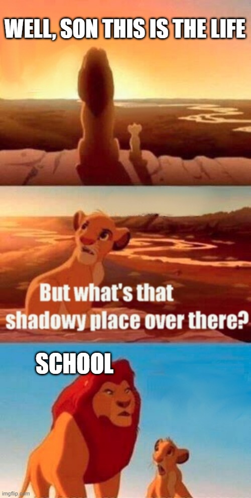 schoool is boring | WELL, SON THIS IS THE LIFE; SCHOOL | image tagged in memes,simba shadowy place | made w/ Imgflip meme maker