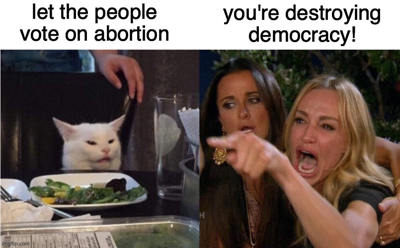reverse cat at dinner table | let the people vote on abortion; you're destroying democracy! | image tagged in reverse cat at dinner table | made w/ Imgflip meme maker