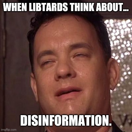 That's some good propaganda. | WHEN LIBTARDS THINK ABOUT... DISINFORMATION. | image tagged in tom hanks orgasm | made w/ Imgflip meme maker