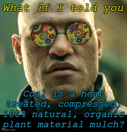 No chemical pesticides or fertilizers were used to grow these plants. | What if I told you; Coal is a heat treated, compressed, 100% natural, organic plant material mulch? | image tagged in acid kicks in morpheus | made w/ Imgflip meme maker