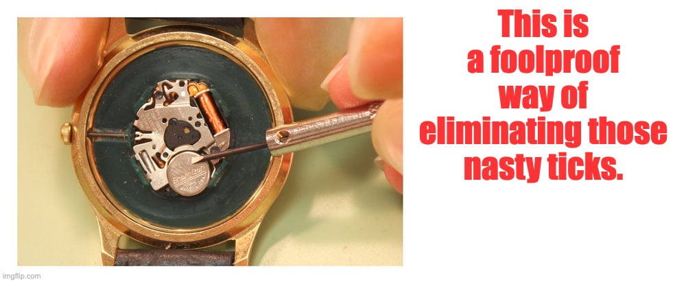 Ticks | This is a foolproof way of eliminating those nasty ticks. | image tagged in bad pun | made w/ Imgflip meme maker