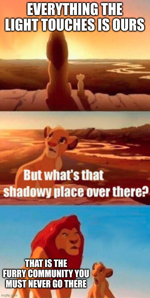 Simba Shadowy Place Meme | EVERYTHING THE LIGHT TOUCHES IS OURS; THAT IS THE FURRY COMMUNITY YOU MUST NEVER GO THERE | image tagged in memes,simba shadowy place | made w/ Imgflip meme maker