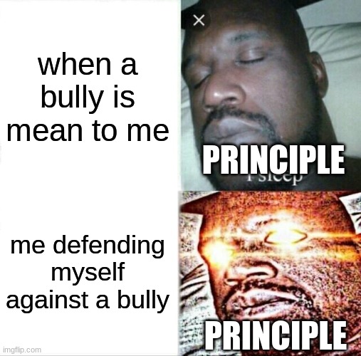 Sleeping Shaq Meme | when a bully is mean to me; PRINCIPLE; me defending myself against a bully; PRINCIPLE | image tagged in memes,sleeping shaq | made w/ Imgflip meme maker