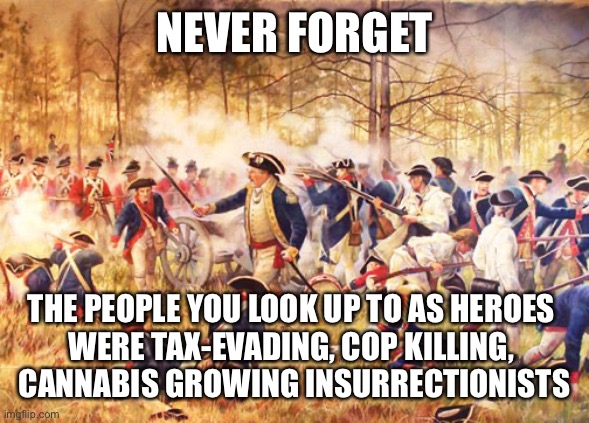 They probably should have been on a watch list or something | NEVER FORGET; THE PEOPLE YOU LOOK UP TO AS HEROES 
WERE TAX-EVADING, COP KILLING, 
CANNABIS GROWING INSURRECTIONISTS | image tagged in revolutionary war | made w/ Imgflip meme maker