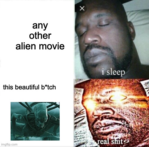 yes |  any other alien movie; this beautiful b*tch | image tagged in memes,sleeping shaq | made w/ Imgflip meme maker