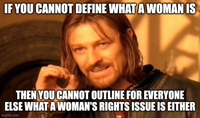 Hypocrites! | IF YOU CANNOT DEFINE WHAT A WOMAN IS; THEN YOU CANNOT OUTLINE FOR EVERYONE ELSE WHAT A WOMAN'S RIGHTS ISSUE IS EITHER | image tagged in memes,one does not simply | made w/ Imgflip meme maker
