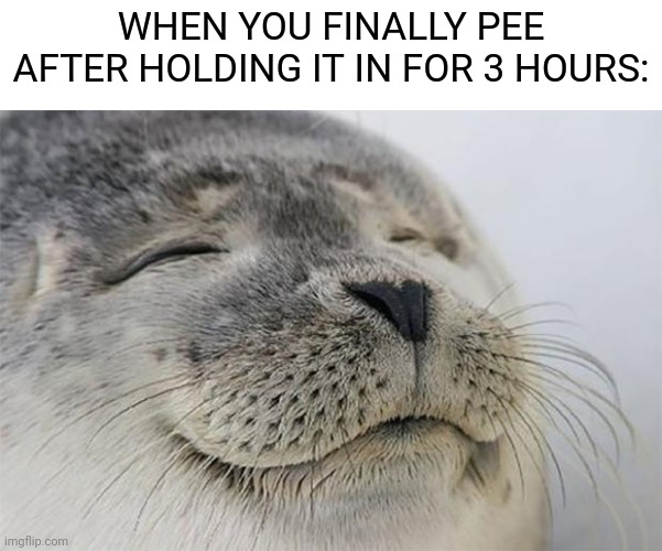 Satisfied Seal |  WHEN YOU FINALLY PEE AFTER HOLDING IT IN FOR 3 HOURS: | image tagged in memes,satisfied seal,funny,funny memes,pee,relatable | made w/ Imgflip meme maker