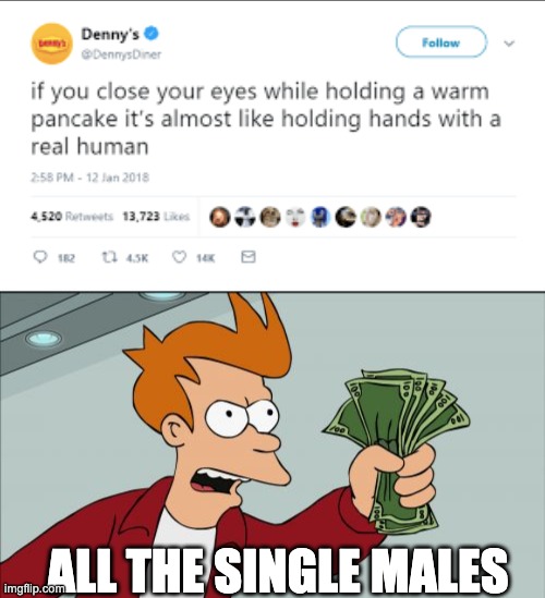 THem boys be like that | ALL THE SINGLE MALES | image tagged in memes,shut up and take my money fry,funny,lol,me and the boys,so true memes | made w/ Imgflip meme maker