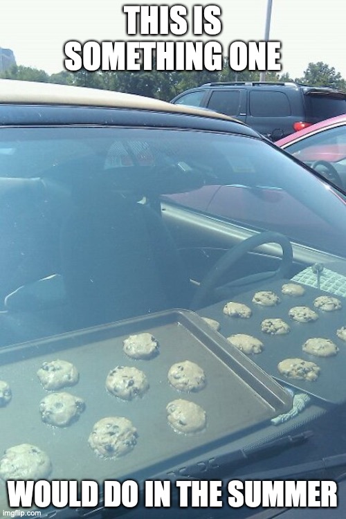 Cookies in Car | THIS IS SOMETHING ONE; WOULD DO IN THE SUMMER | image tagged in cars,cookies,memes | made w/ Imgflip meme maker