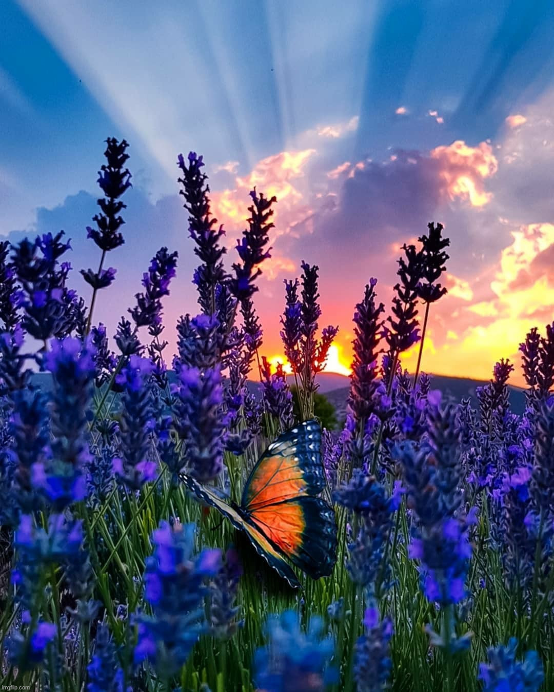 image tagged in awesome | made w/ Imgflip meme maker