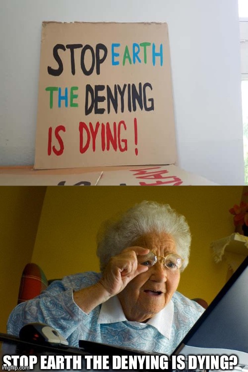 When you let your illiterate friend make a protest sign | STOP EARTH THE DENYING IS DYING? | image tagged in memes,grandma finds the internet | made w/ Imgflip meme maker