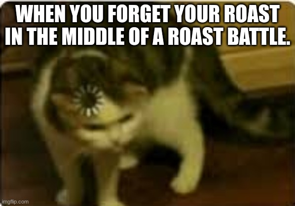 Buffering cat | WHEN YOU FORGET YOUR ROAST IN THE MIDDLE OF A ROAST BATTLE. | image tagged in buffering cat | made w/ Imgflip meme maker