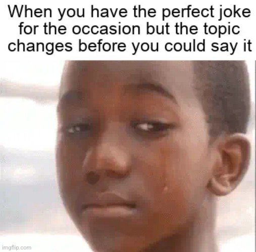 image tagged in funny memes | made w/ Imgflip meme maker