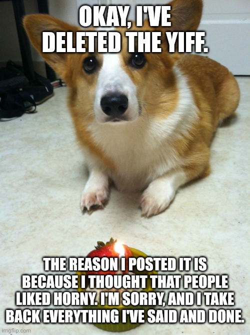 Sad Corgi | OKAY, I'VE DELETED THE YIFF. THE REASON I POSTED IT IS BECAUSE I THOUGHT THAT PEOPLE LIKED HORNY. I'M SORRY, AND I TAKE BACK EVERYTHING I'VE SAID AND DONE. | image tagged in sad corgi | made w/ Imgflip meme maker