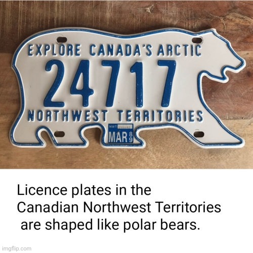 Cool plates | image tagged in license plate,fun,cool | made w/ Imgflip meme maker
