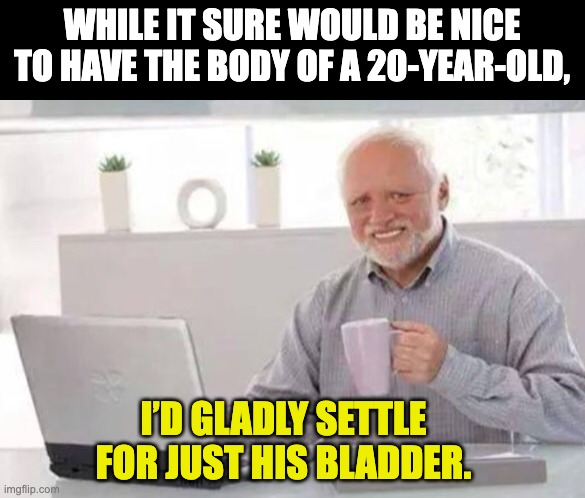 Old man (just like me) | WHILE IT SURE WOULD BE NICE TO HAVE THE BODY OF A 20-YEAR-OLD, I’D GLADLY SETTLE FOR JUST HIS BLADDER. | image tagged in harold | made w/ Imgflip meme maker