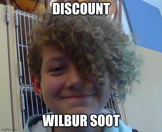 true tho | DISCOUNT; WILBUR SOOT | image tagged in discount wilbur soot | made w/ Imgflip meme maker