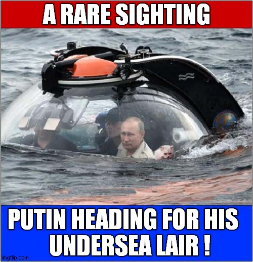 What Do We Have Here ? | A RARE SIGHTING; PUTIN HEADING FOR HIS 
  UNDERSEA LAIR ! | image tagged in putin,cat,evil,submarine,lair,dark humour | made w/ Imgflip meme maker