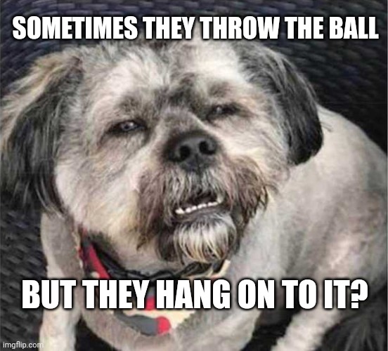 When you overthink things | SOMETIMES THEY THROW THE BALL; BUT THEY HANG ON TO IT? | image tagged in confused dog,overthinking | made w/ Imgflip meme maker