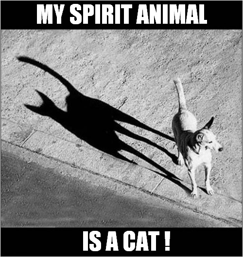 Dogs Inner Self Revealed ! | MY SPIRIT ANIMAL; IS A CAT ! | image tagged in dogs,spirit animal,cat,shadow | made w/ Imgflip meme maker
