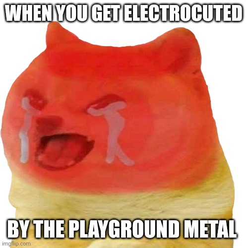 This is true | WHEN YOU GET ELECTROCUTED; BY THE PLAYGROUND METAL | image tagged in doge,playground,life,kids,pain,memes | made w/ Imgflip meme maker
