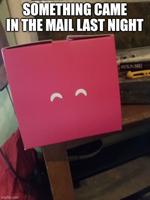 FINALLY IT IS HERE | SOMETHING CAME IN THE MAIL LAST NIGHT | image tagged in technoblade,technosupport,technoblade never dies,technothepig | made w/ Imgflip meme maker