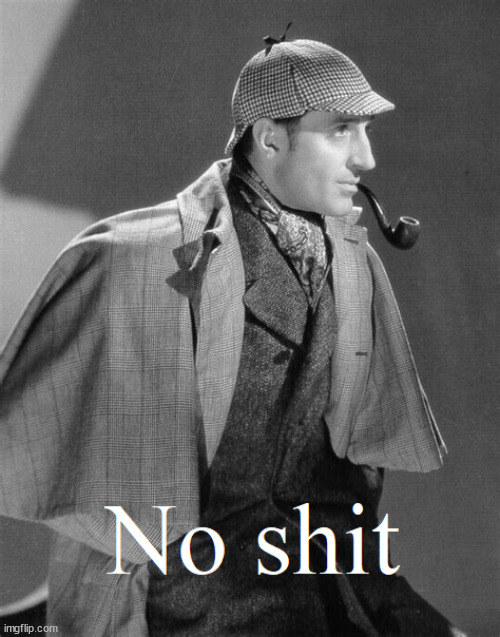 Sherlock No.... | image tagged in sherlock holmes,no shit | made w/ Imgflip meme maker