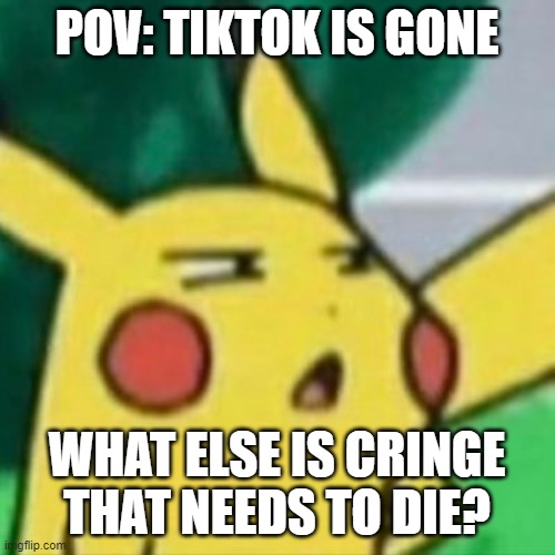 Say what now? | POV: TIKTOK IS GONE WHAT ELSE IS CRINGE THAT NEEDS TO DIE? | image tagged in say what now | made w/ Imgflip meme maker
