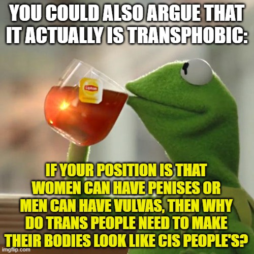 But That's None Of My Business Meme | YOU COULD ALSO ARGUE THAT IT ACTUALLY IS TRANSPHOBIC: IF YOUR POSITION IS THAT WOMEN CAN HAVE PENISES OR MEN CAN HAVE VULVAS, THEN WHY DO TR | image tagged in memes,but that's none of my business,kermit the frog | made w/ Imgflip meme maker