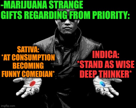 -Two ways, too dangerous. | -MARIJUANA STRANGE GIFTS REGARDING FROM PRIORITY:; INDICA: *STAND AS WISE DEEP THINKER*; SATIVA: *AT CONSUMPTION BECOMING FUNNY COMEDIAN* | image tagged in matrix morpheus offer,elon musk smoking a joint,smoke weed everyday,too damn high,don't do drugs,police chasing guy | made w/ Imgflip meme maker
