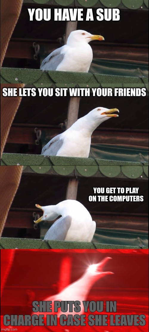 Bird | YOU HAVE A SUB; SHE LETS YOU SIT WITH YOUR FRIENDS; YOU GET TO PLAY ON THE COMPUTERS; SHE PUTS YOU IN CHARGE IN CASE SHE LEAVES | image tagged in memes,inhaling seagull,skool | made w/ Imgflip meme maker