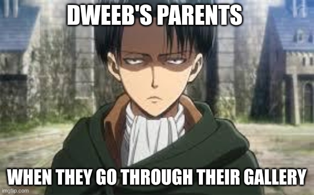 Levi Ackerman | DWEEB'S PARENTS; WHEN THEY GO THROUGH THEIR GALLERY | image tagged in levi ackerman | made w/ Imgflip meme maker