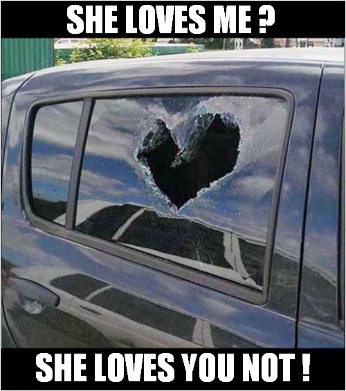 Mixed Messages ? | SHE LOVES ME ? SHE LOVES YOU NOT ! | image tagged in love,hate,heart,dark humour | made w/ Imgflip meme maker