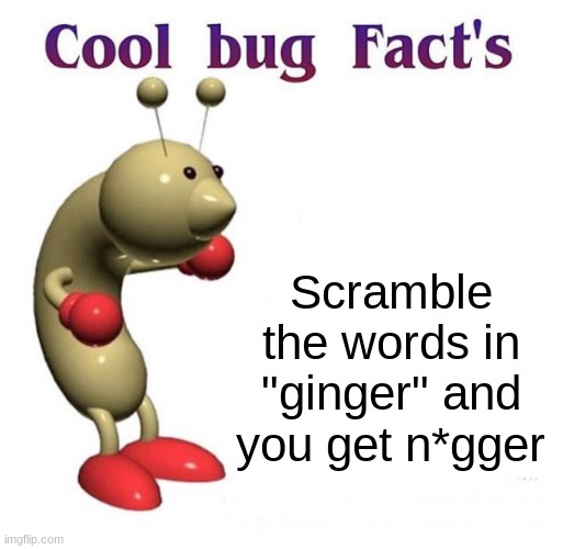 Cool Bug Facts | Scramble the words in "ginger" and you get n*gger | image tagged in cool bug facts | made w/ Imgflip meme maker