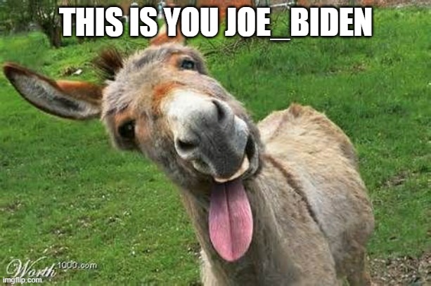 Laughing Donkey | THIS IS YOU JOE_BIDEN | image tagged in laughing donkey | made w/ Imgflip meme maker