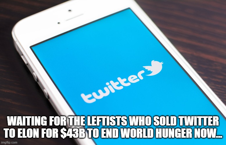 Waiting for the Leftists who sold Twitter to Elon for $43B to end world hunger now... | WAITING FOR THE LEFTISTS WHO SOLD TWITTER TO ELON FOR $43B TO END WORLD HUNGER NOW... | image tagged in twitter,elon musk,world hunger | made w/ Imgflip meme maker